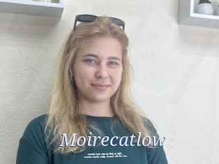 Moirecatlow