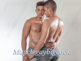 Musclegaybigcock