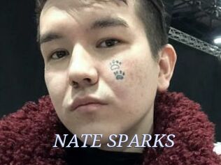 NATE_SPARKS