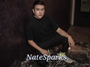 NateSparks