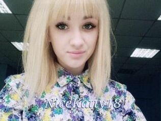 NiceKatty18