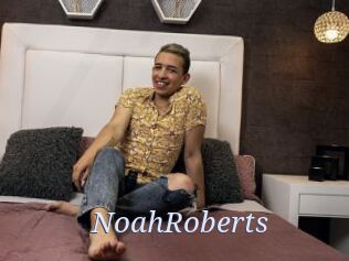 NoahRoberts