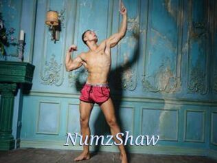 NumzShaw 777 Erotik Chat