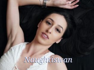 Naughtiswan