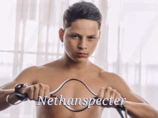 Nethanspecter