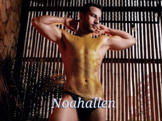 noahallen 777 Erotik Chat