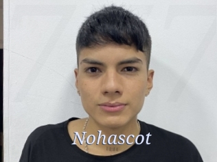 nohascot 777 Erotik Chat