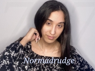 Normadrudge