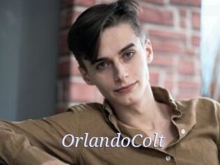 OrlandoColt