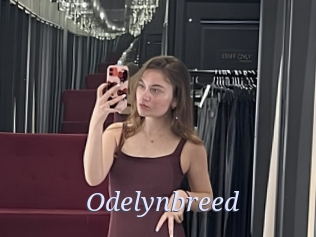 Odelynbreed
