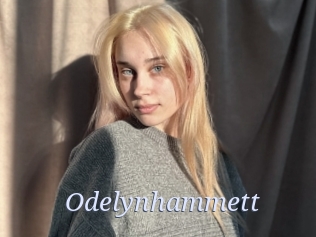 Odelynhammett