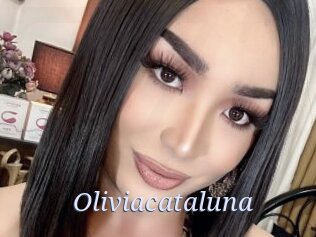Oliviacataluna
