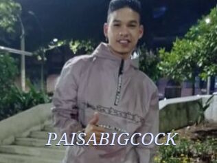 PAISABIGCOCK