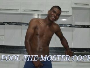 POOL_THE_MOSTER_COCK