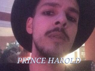 PRINCE_HAROLD 777 Erotik Chat