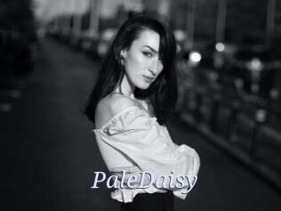 PaleDaisy 777 Erotik Chat