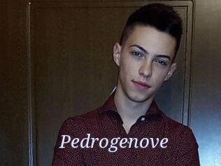 Pedrogenove