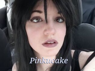 Pinkucake 777 Erotik Chat
