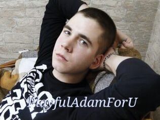 PlayfulAdamForU
