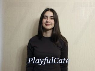 PlayfulCate