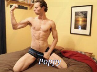 Poppy