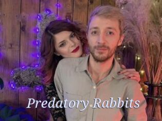 Predatory_Rabbits