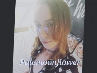 Palemoonflower