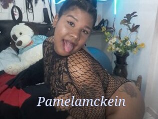 Pamelamckein