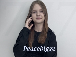 Peacebigge