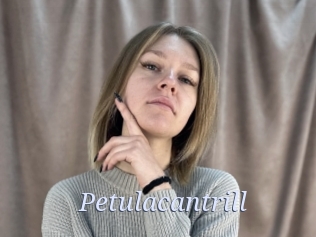 petulacantrill 777 Erotik Chat