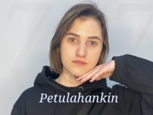 Petulahankin