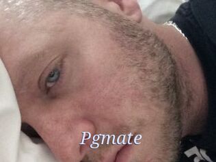 Pgmate