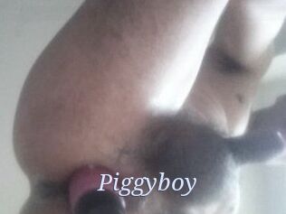 Piggyboy