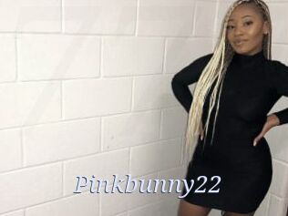 Pinkbunny22