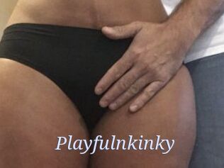 Playfulnkinky