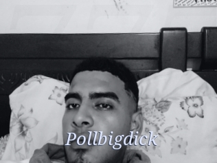 Pollbigdick