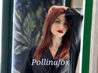 Pollinafox