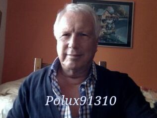 Polux91310