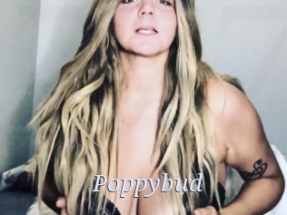 Poppybud