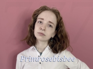Primrosebisbee