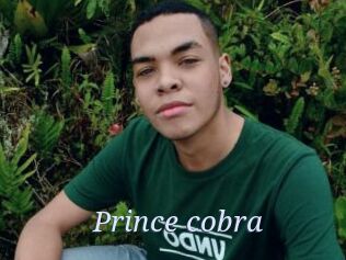 Prince_cobra