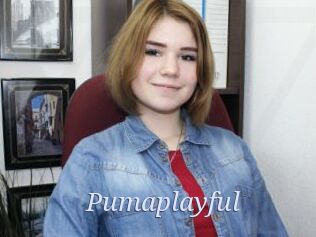 Pumaplayful