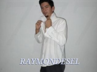RAYMONDESEL