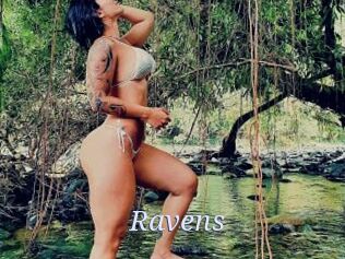 Ravens