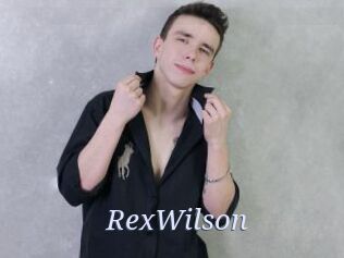 RexWilson 777 Erotik Chat