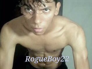 RogueBoy22
