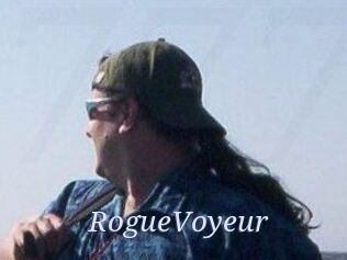 RogueVoyeur