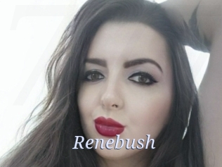 Renebush