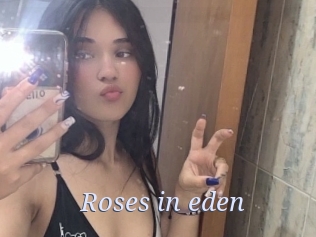 Roses_in_eden