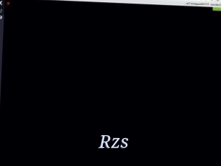 Rzs